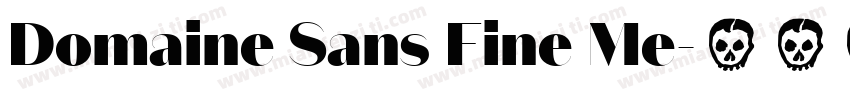 Domaine Sans Fine Me字体转换